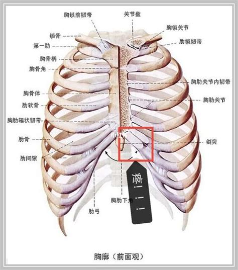 左是哪里